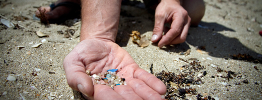Microplastics - Credit Joe Dowling, Sustainable Coastlines, Marine Photobank
